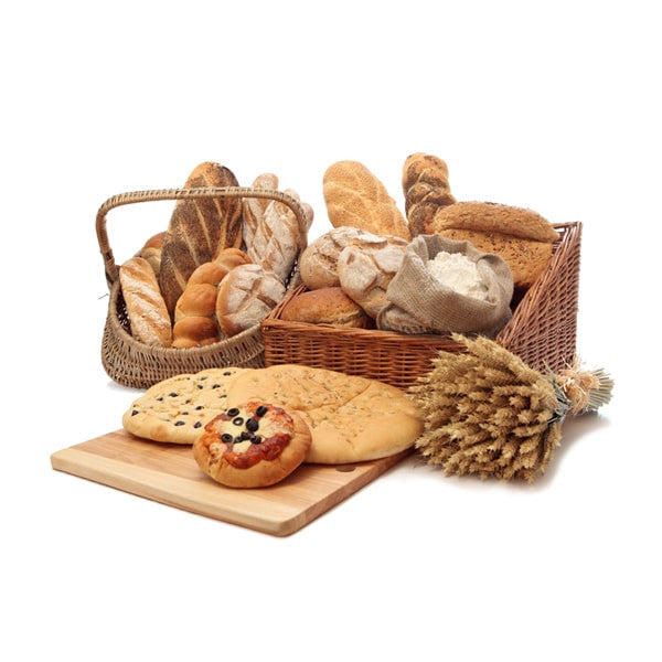 Ecurna vest ibulum sceleriq