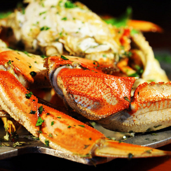 Morbi uttortor atnisi pretu