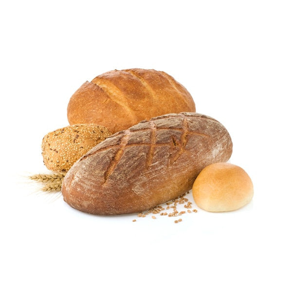 Nunc accumsan praesent phae