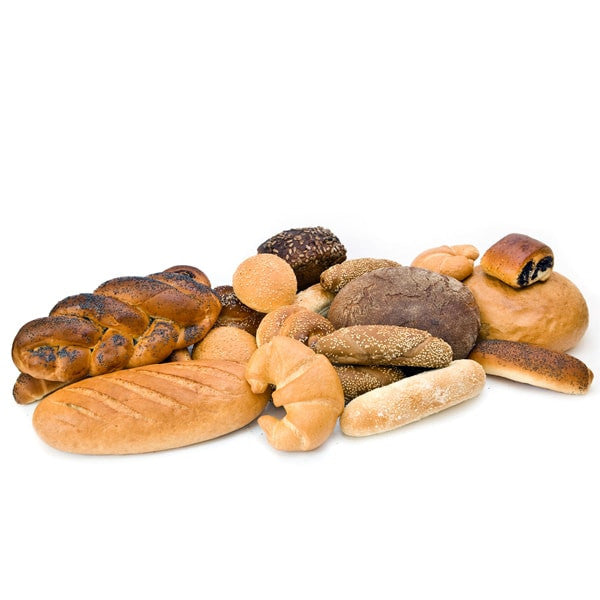 Ecurna vest ibulum sceleriq